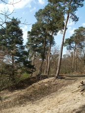 Naturschutzgebiet Hirschacker