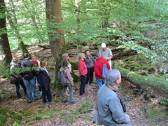 Naturschutzgebiet Neckarhalde